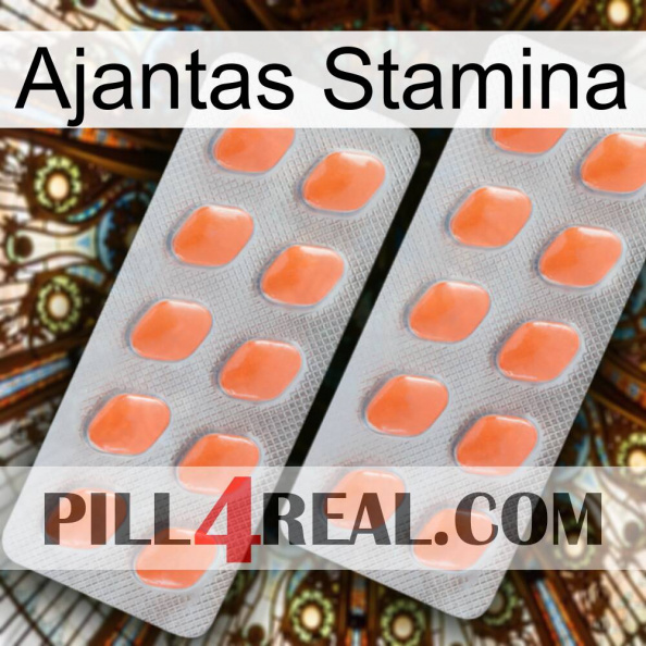 Ajantas Stamina 27.jpg